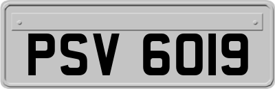 PSV6019