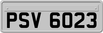 PSV6023
