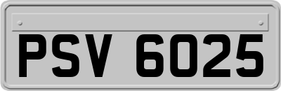 PSV6025