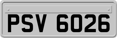 PSV6026