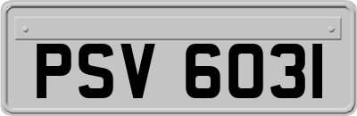 PSV6031