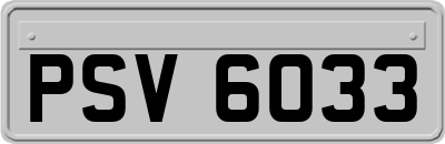 PSV6033