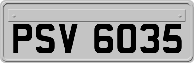 PSV6035