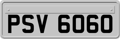 PSV6060