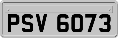 PSV6073