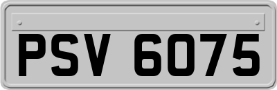PSV6075