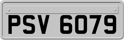 PSV6079