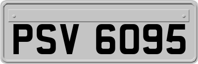 PSV6095
