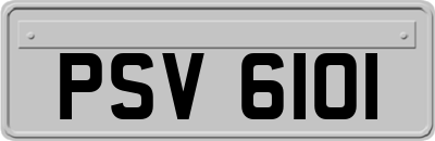 PSV6101