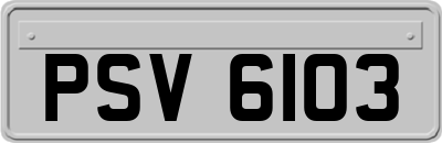 PSV6103