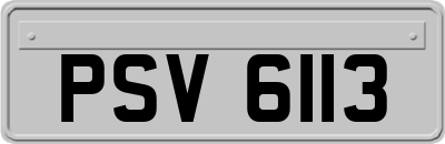 PSV6113