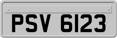 PSV6123