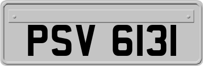 PSV6131