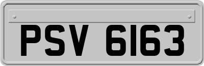 PSV6163