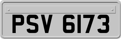 PSV6173