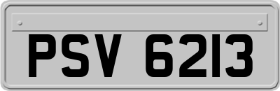PSV6213
