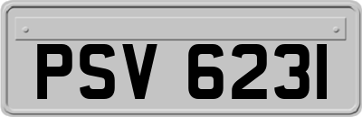 PSV6231