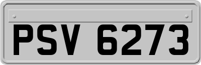 PSV6273