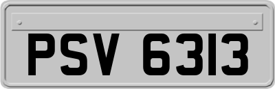 PSV6313