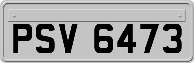 PSV6473