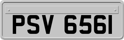 PSV6561