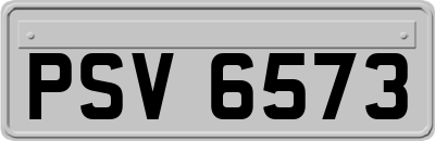 PSV6573
