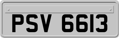 PSV6613