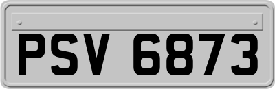 PSV6873