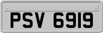 PSV6919