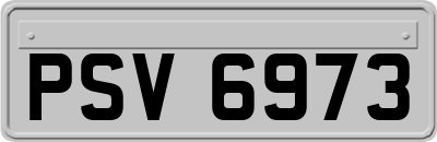 PSV6973