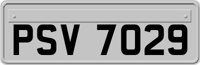 PSV7029