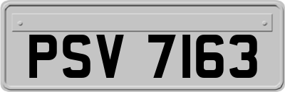 PSV7163
