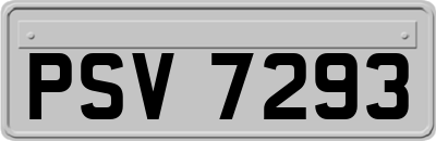 PSV7293