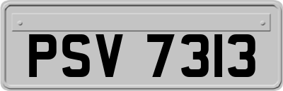 PSV7313