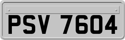 PSV7604