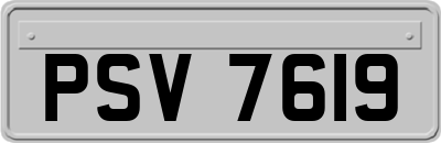 PSV7619