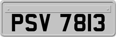 PSV7813