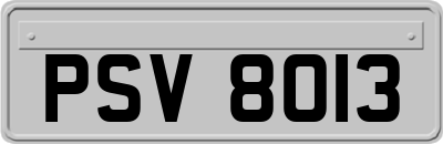 PSV8013