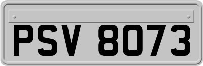 PSV8073