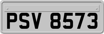 PSV8573