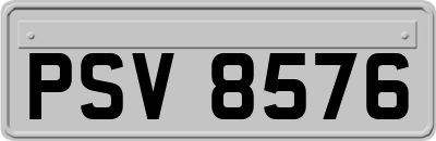 PSV8576