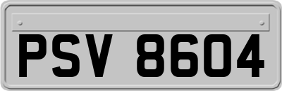 PSV8604