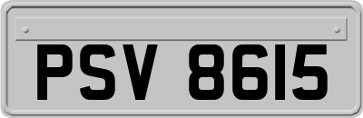 PSV8615