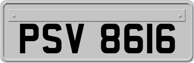 PSV8616