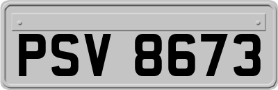PSV8673