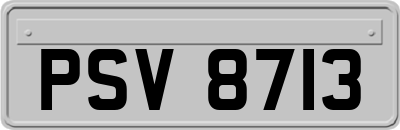 PSV8713