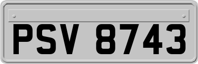 PSV8743