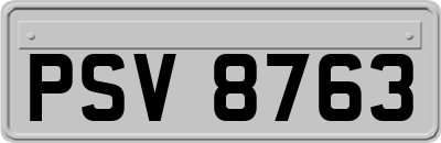 PSV8763