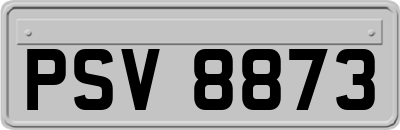 PSV8873
