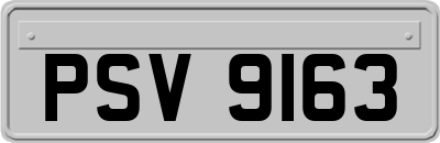 PSV9163